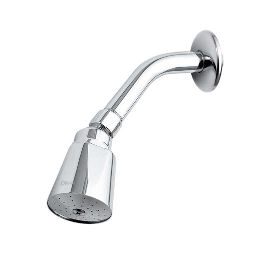 Regadera Con Brazo Y Chapetón 4501B, Dica